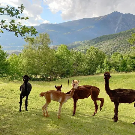 Casa Coccolin * Emarese